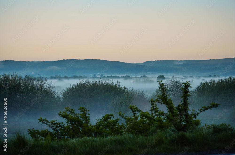 Early morning landscape in the field. Yellow sunrise with fog in summer.