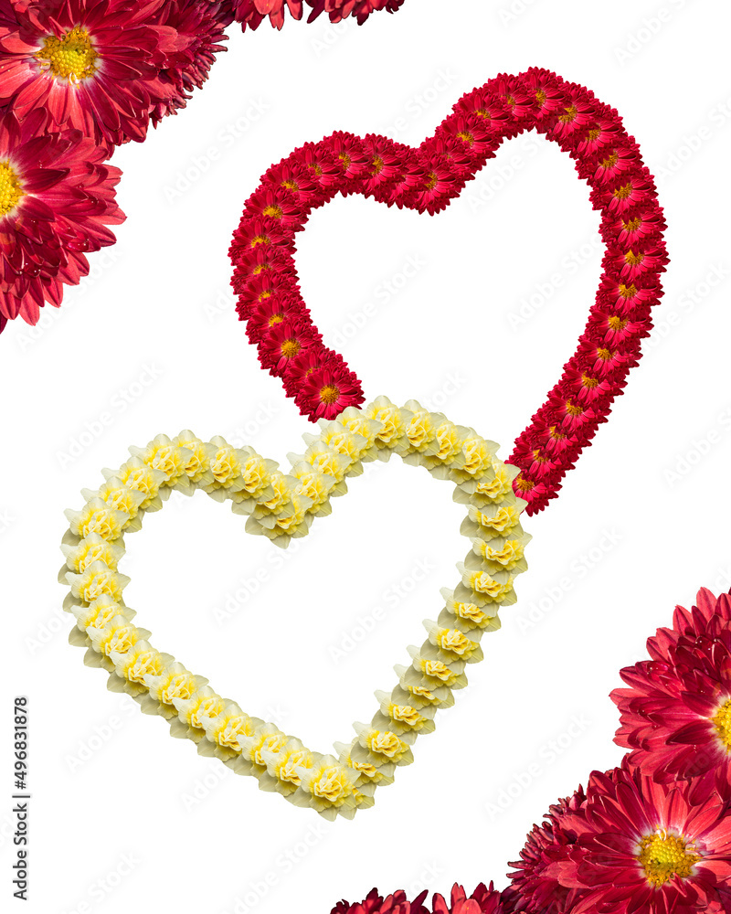 Romantic floral shape of two hearts and a frame of flowers isolated on a white background. Contour shape of hearts, made of red and yellow flowers as a sign of love, loyalty and devotion Romantic floral shape of two hearts and a frame of flowers isolated on a white background. Contour shape of hearts, made of red and yellow flowers as a sign of love, loyalty and devotion