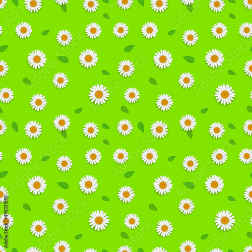 Spring seamless pattern with white camomiles and leaves