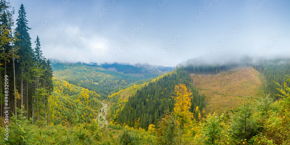 Autumn forest under the clouds, Carpathians, Ukraine