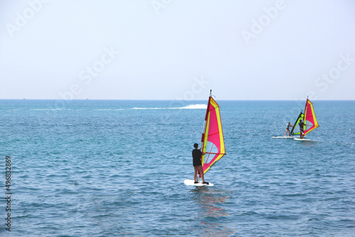 young people learning windsurfing near the shore