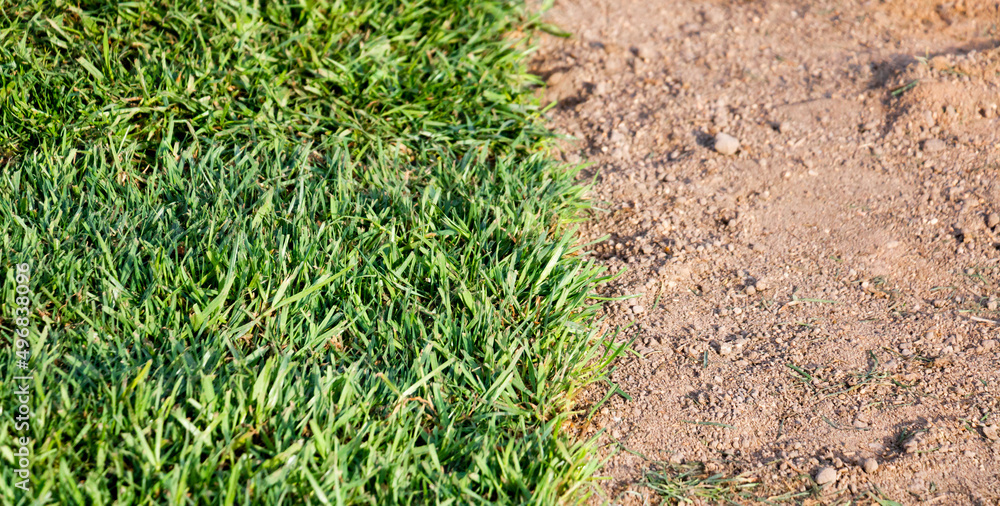 Natural grass laid floor. Green ground and soil contrast image Natural grass laid floor. Green ground and soil contrast image