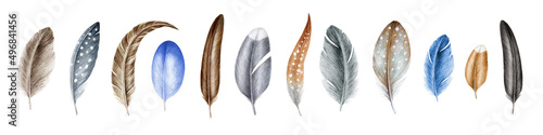 Feather element big set. Watercolor illustration. Hand drawn various bird quill, down realistic collection. Grey, brown, blue, spotted bird feathers. Feathers on white background