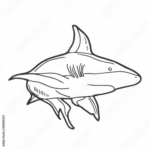 Doodle Shark Icon. Line art in vector format