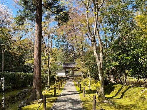 Jizoin Temple in Kyoto