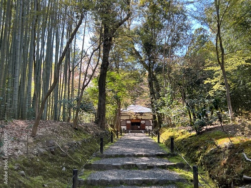 Jizoin Temple in Kyoto