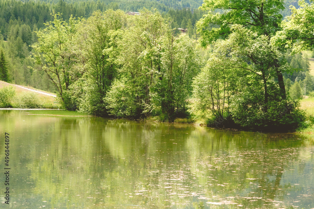 Riflessi di verde nel lago di Loz, Valtournenche