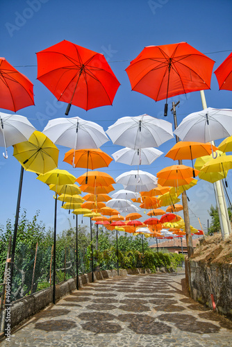 Colorful umbrellas in a narrow street of Acri, village in Calabria, Italy.