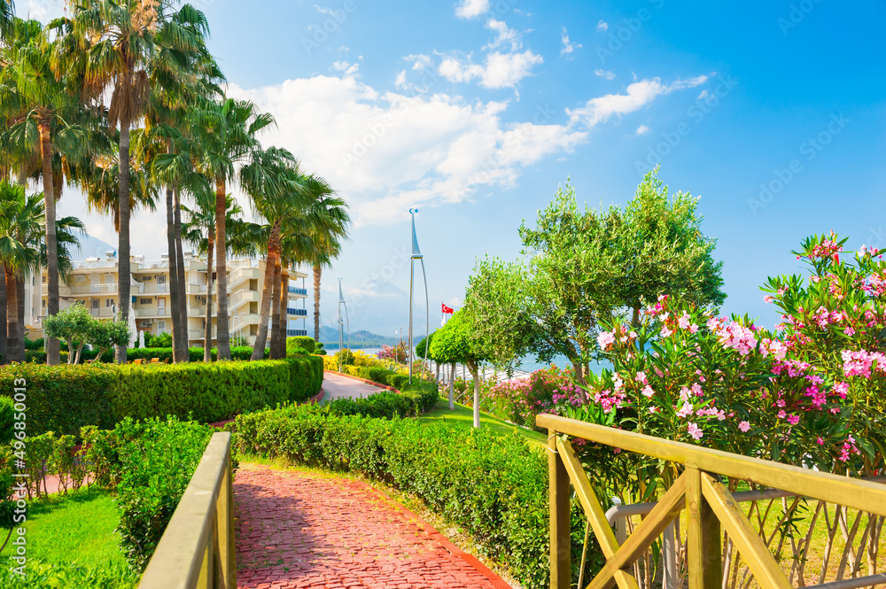 Beautiful promenade with green trees in Kemer, Turkey. Summer landscape, travel and vacation