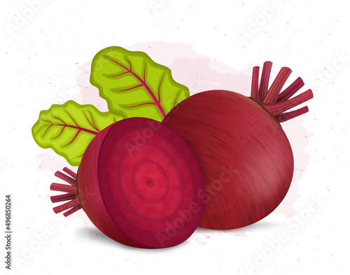 Beetroot vector illustration with half cutted beetroot piece and green leaves