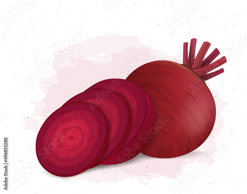 Beetroot vector illustration with beetroot vegetable half piece and round slices