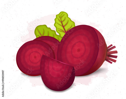 Half Piece of better root vector illustration with slices of vegetable and green leaves