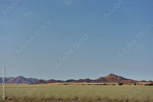 Gras savannah Namibi  Namib desert  