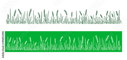 Wild ears of corn field on a green background.Grass in field.Vector illustration.