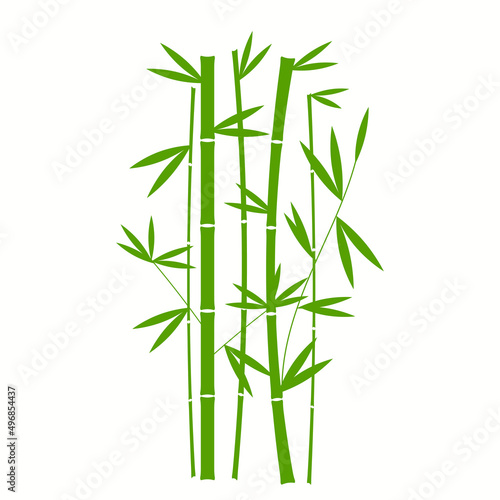 Handdrawn Green Bamboo Plant Vertical In White Background