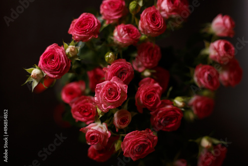 Beautiful bouquet of pink  red  roses bushes with water drops on a black background. Selective focus  close-up.