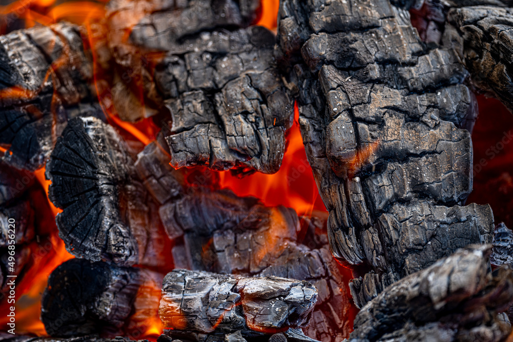 The hottest background. A fire blaze, heat and burning wood close-up. The hottest background. A fire blaze, heat and burning wood close-up.