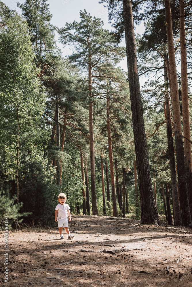Happy cute toddler boy in t-shirt and shorts walking along path in summer park. Little kid outing on path in pine forest. Hyper-local travel concept. Active lifestyle. Child having fun in green woods. Happy cute toddler boy in t-shirt and shorts walking along path in summer park. Little kid outing on path in pine forest. Hyper-local travel concept. Active lifestyle. Child having fun in green woods.