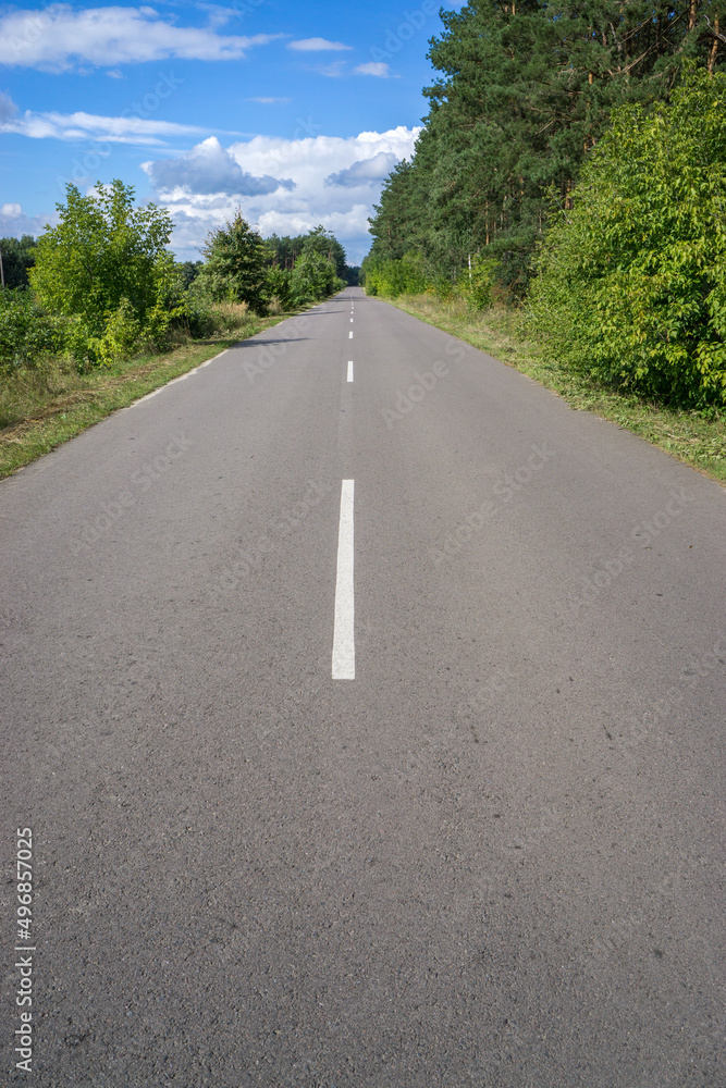 An asphalt road with a dividing strip of road markings passes through the forest.