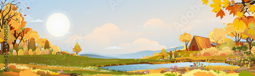 Autumn rural landscape in evening light with sunset, blue and orange sky background,Vector Cartoon fall season at countryside with forest tree and grass field with sunrise,Backdrop natural banner
