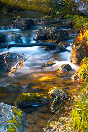 Photography Vertical shot of a beautiful river with many rocks in Dublin, Republic of Irelan