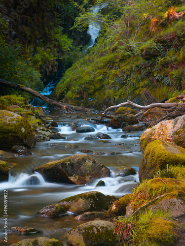 Photography Vertical shot of a beautiful river with many rocks in Dublin, Republic of Irelan
