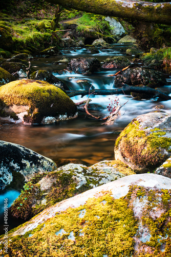 Photography Vertical shot of a beautiful river with many rocks in Dublin, Republic of Irelan