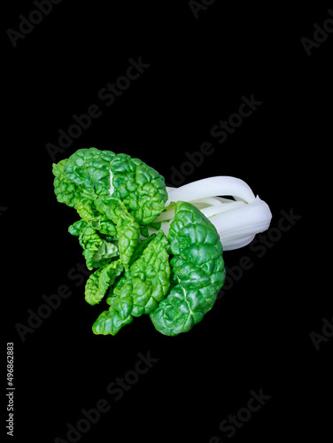 Closeup shot of a Bok choy Chinese cabbage with black background