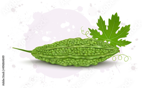 Bitter gourd vegetable vector illustration