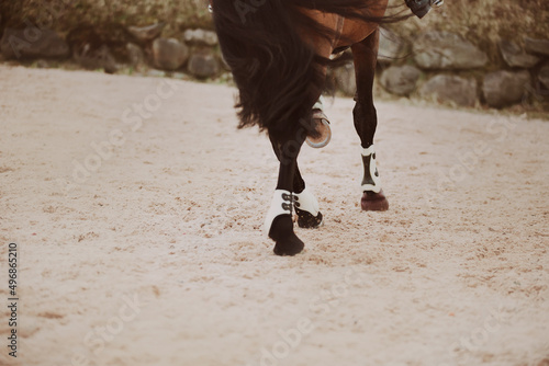 The hooves of a bay fast horse with a long tail, galloping, step on the sand in the arena. Equestrian sports. Horse riding.