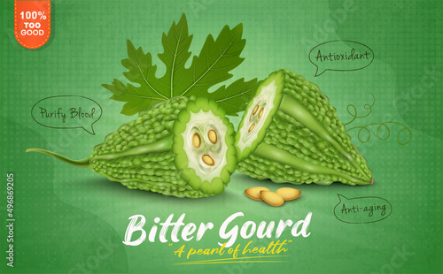 Two half bitter gourd vegetables- vector illustration on light green background