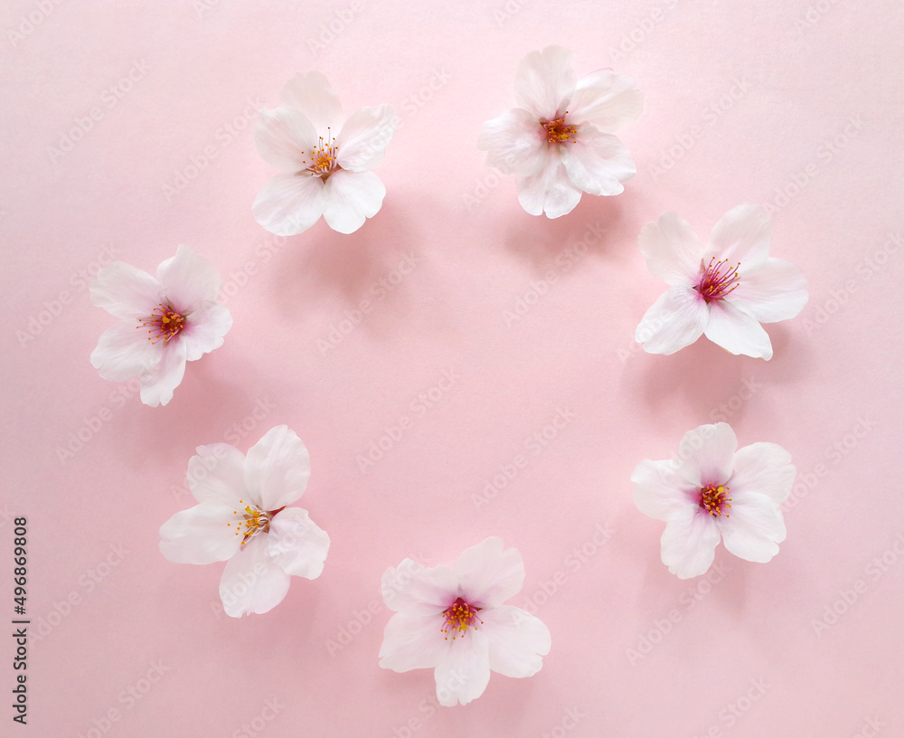 7つの桜の花の輪