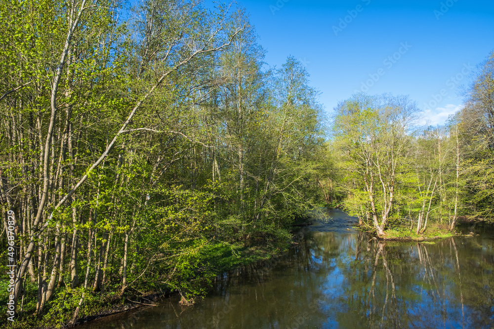 River in a spring landscape