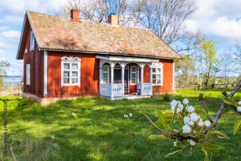Idyllic red cottage and a blossom fruit tree branch at spring