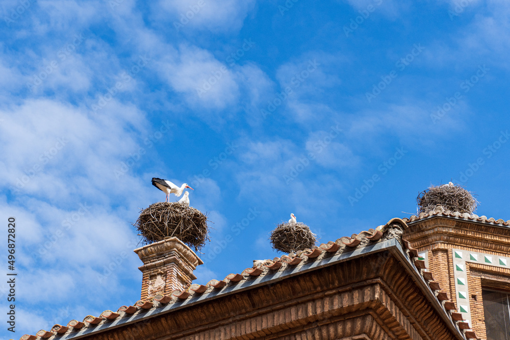 Obraz premium Storks with nests over church roof and towers. This church in spain is home to the largest colony of white storks in the world