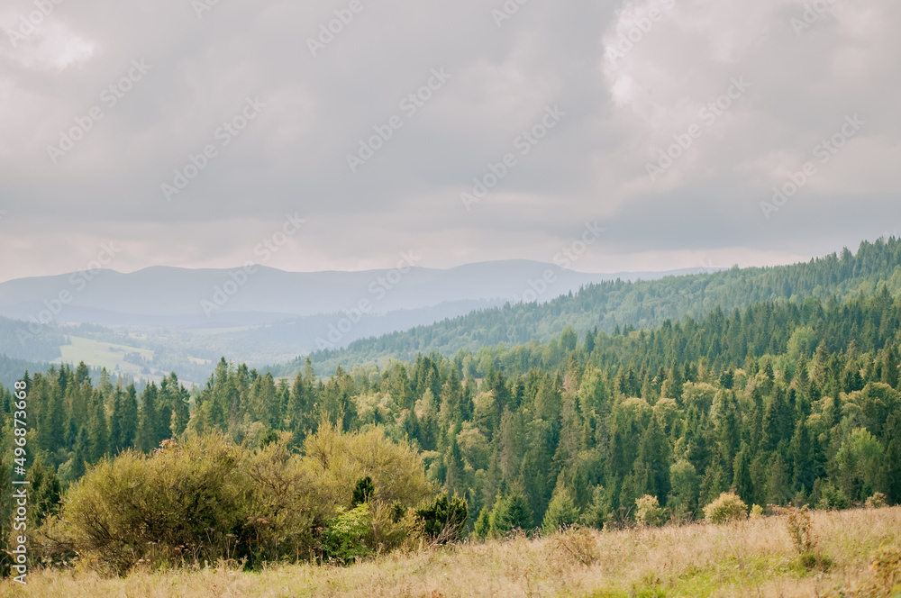 Fototapeta premium Beautiful green mountains in the Carpathians in autumn