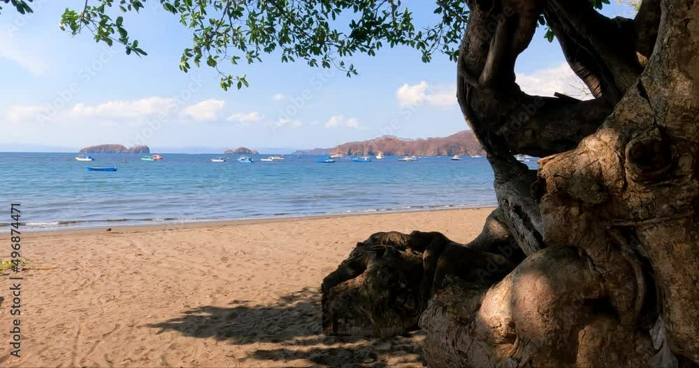 Tropical sandy beach with an old tree, waves on a sunny day, Coco Beach in Guanacaste, Costa Rica. View of Pacific Ocean with small islands and wooden fishing boats Tropical sandy beach with an old tree, waves on a sunny day, Coco Beach in Guanacaste, Costa Rica. View of Pacific Ocean with small islands and wooden fishing boats