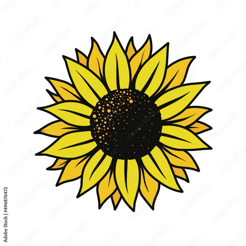 Fototapeta premium sunflower illustration