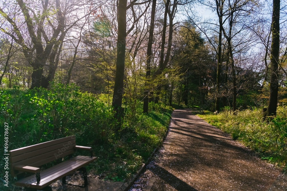 bench in the park