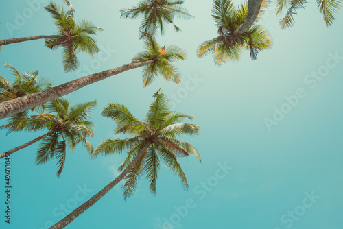 Tropical coconut palm trees over sky background, vintage toned with copy space
