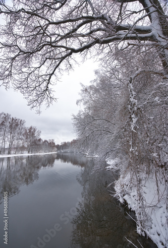 Fairytale winter river among snow-covered trees