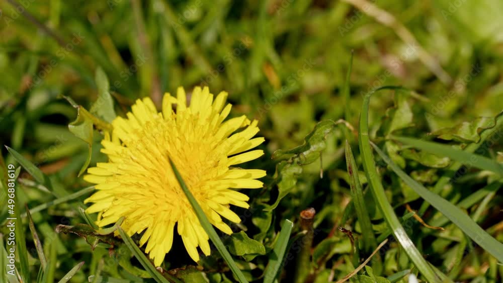 Bright, beautiful image of nature in all its forms. Bright, beautiful image of nature in all its forms.