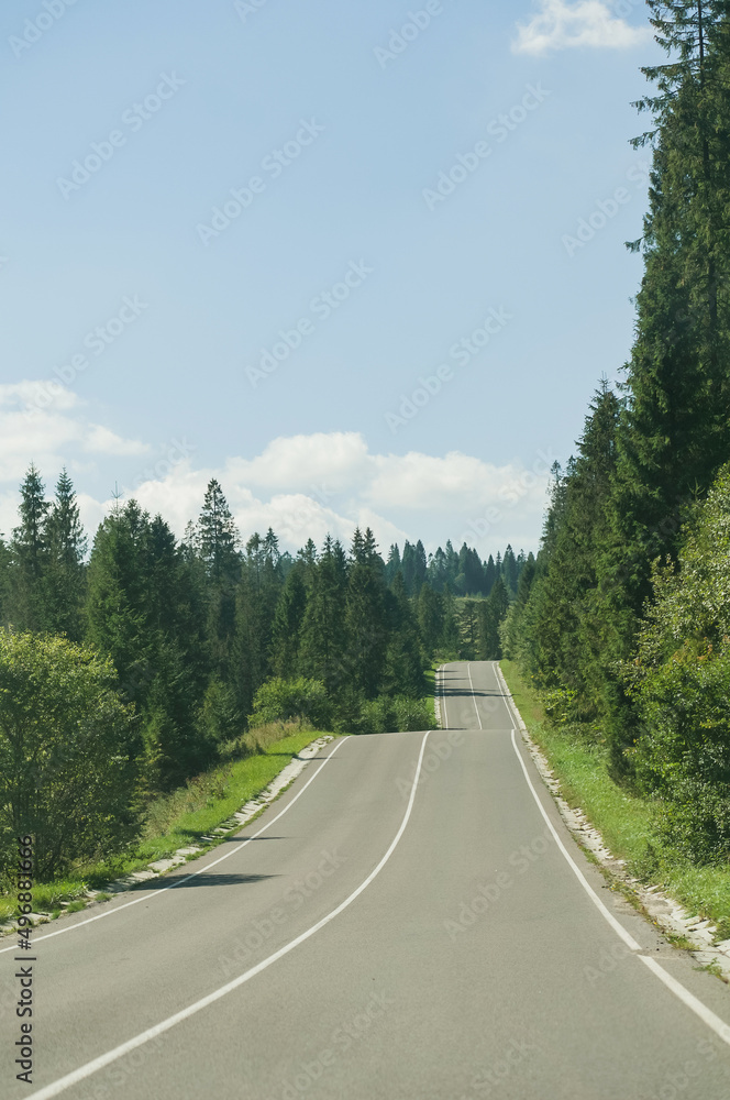 Winding road in the Carpathian mountains