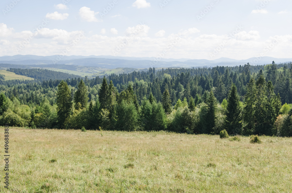Fototapeta premium Beautiful landscapes of high mountains in warm autumn in the Carpathians