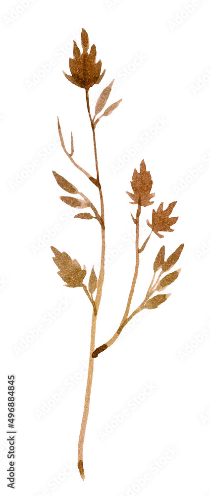 Close-up Brown Dry leaves flower with white background - nature backdrop and beatiful detail