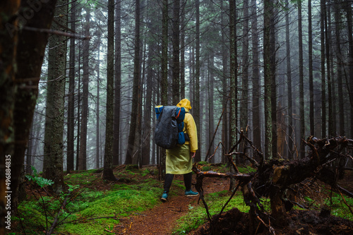 Male hiker walks along a trail in wet rainy weather through a pristine forest with a large backpack on his back, rear view.
