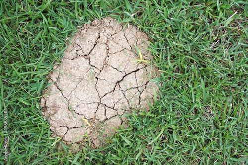 Dry, cracked earth on the green grass.