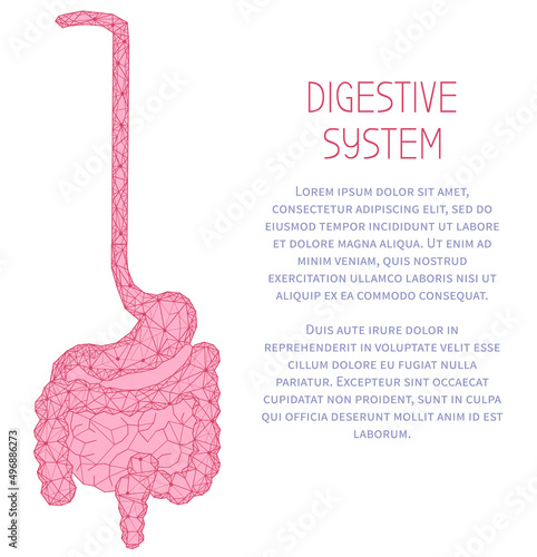 Polygonal stomach and intestines. Medical research of internal organs, innovative approach concept. Human digestive system illustration. Modern depiction of organs for digesting and assimilating food