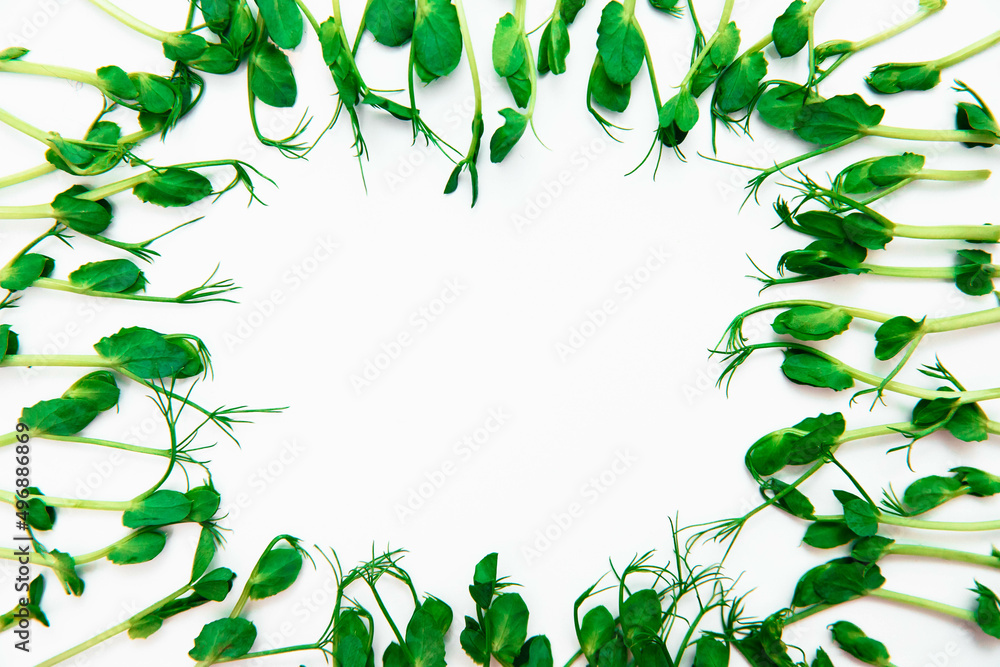Fototapeta premium Microgreen isolated on a white background.