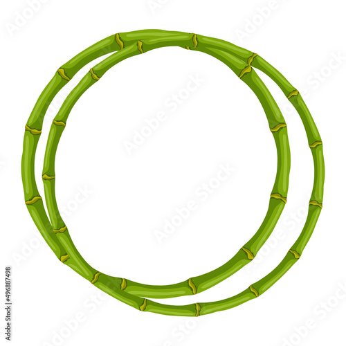 Frame with green bamboo stems. Decorative exotic plants of jungle tropic jungle.